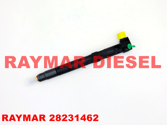 28231462 Delphi Common Rail Fuel Injector For Volkswagen